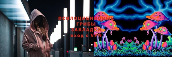 МДПВ Белокуриха