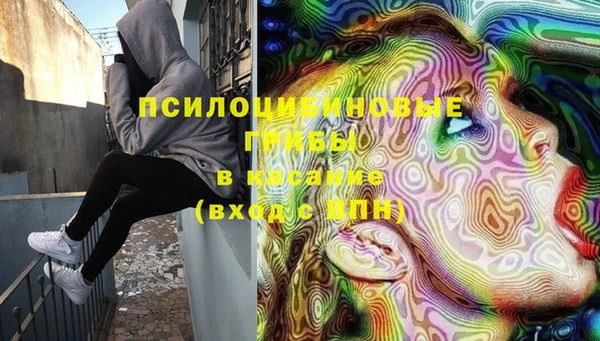 МДПВ Белокуриха