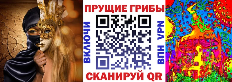 купить наркотики сайты  Берёзовский  Галлюциногенные грибы прущие грибы 