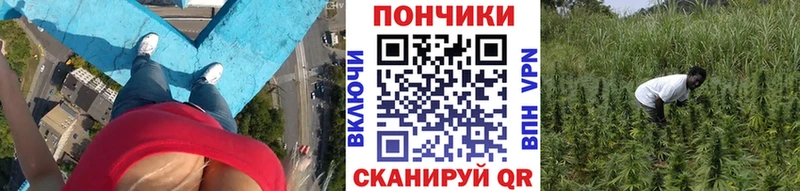 Каннабис SATIVA & INDICA Берёзовский